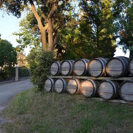 Londres Guest In The Heart Of The Vineyard No123 4* Badens