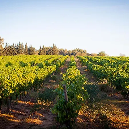 Londres Guest In The Heart Of The Vineyard No123 Gasthof