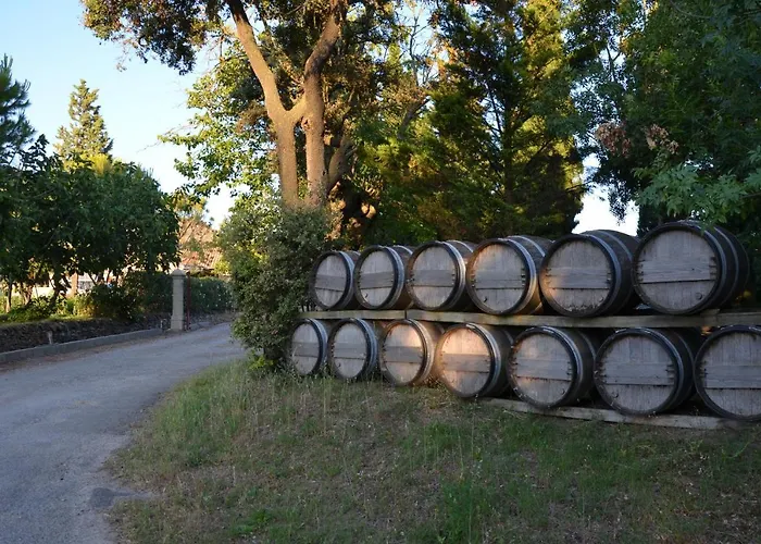Londres Guest In The Heart Of The Vineyard No123 4* Badens