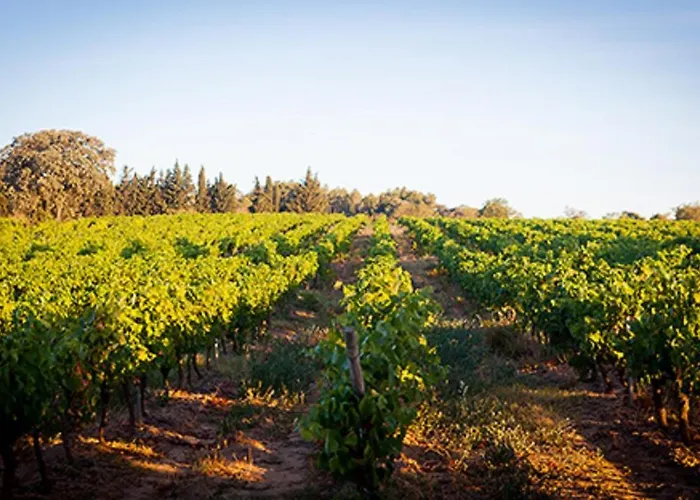 Londres Guest In The Heart Of The Vineyard No123 Penzion